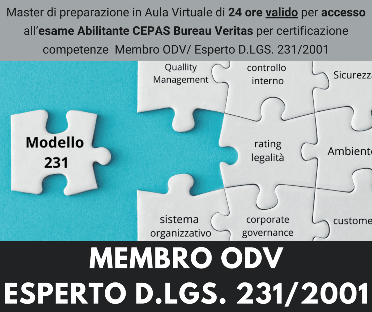 Master di preparazione all'esame Abilitante - MEMBRO ORGANISMO DI VIGILANZA (ODV) ED ESPERTO D.LGS. 231/2001 - 4° Edizione - Aprile 2026